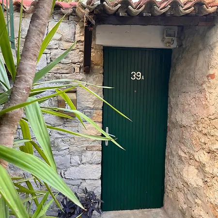 House Nenolino